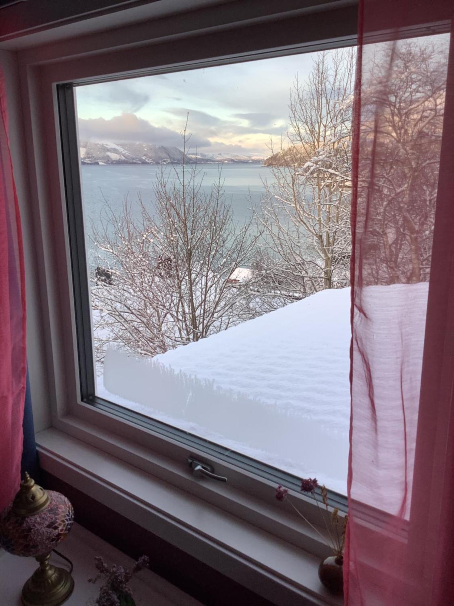 Volda Line Pa Hauane1 Bed & Breakfast エクステリア 写真
